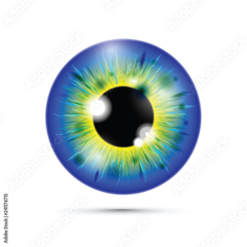 blue realistic eyeball