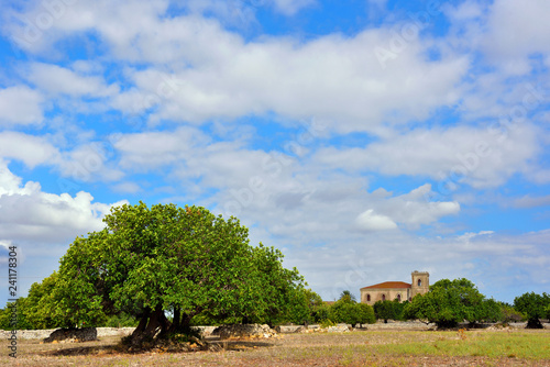 the countryside near the castle of donnafugata Ragusa Sicily Italy photo