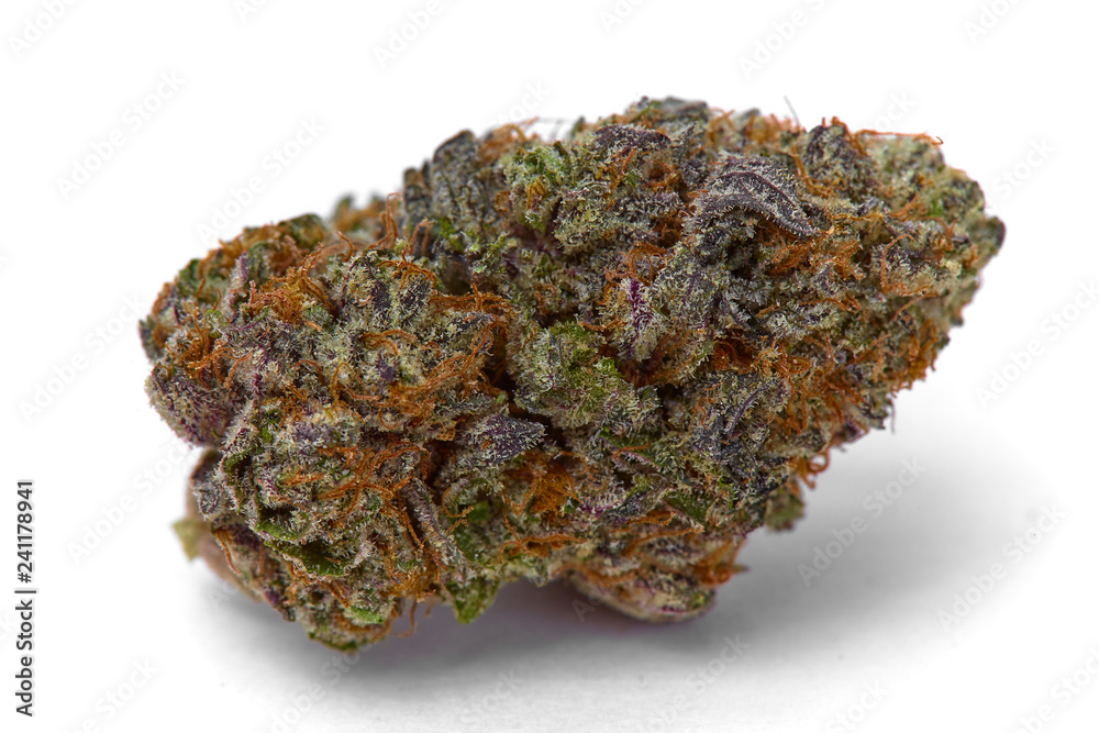 Close up of Kush OG prescription medical marijuana and recreational weed hybrid strain sticky flower bud isolated on a white background Close up of Kush OG prescription medical marijuana and recreational weed hybrid strain sticky flower bud isolated on a white background