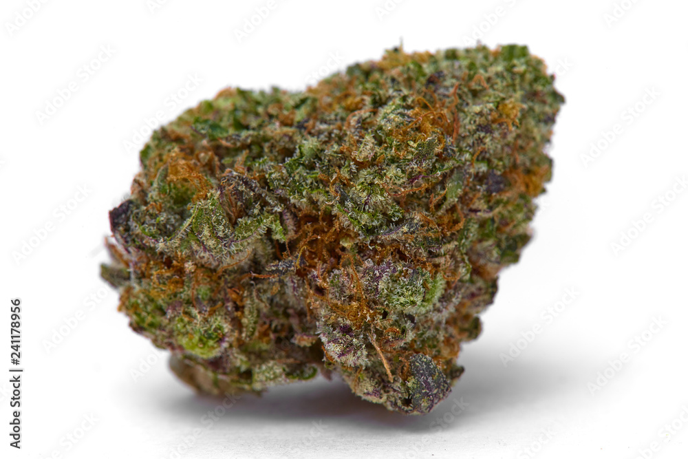 Close up of Kush OG prescription medical marijuana and recreational weed hybrid strain sticky flower bud isolated on a white background Close up of Kush OG prescription medical marijuana and recreational weed hybrid strain sticky flower bud isolated on a white background