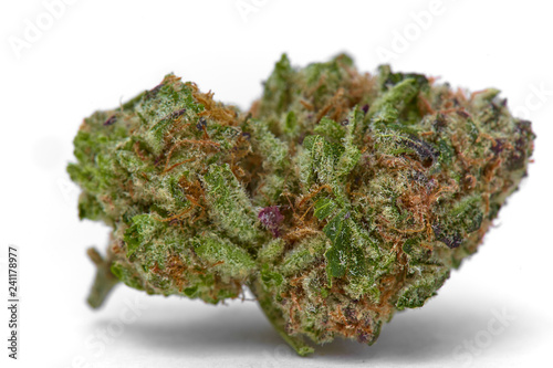 Close up of Kush OG prescription medical marijuana and recreational weed hybrid strain sticky flower bud isolated on a white background