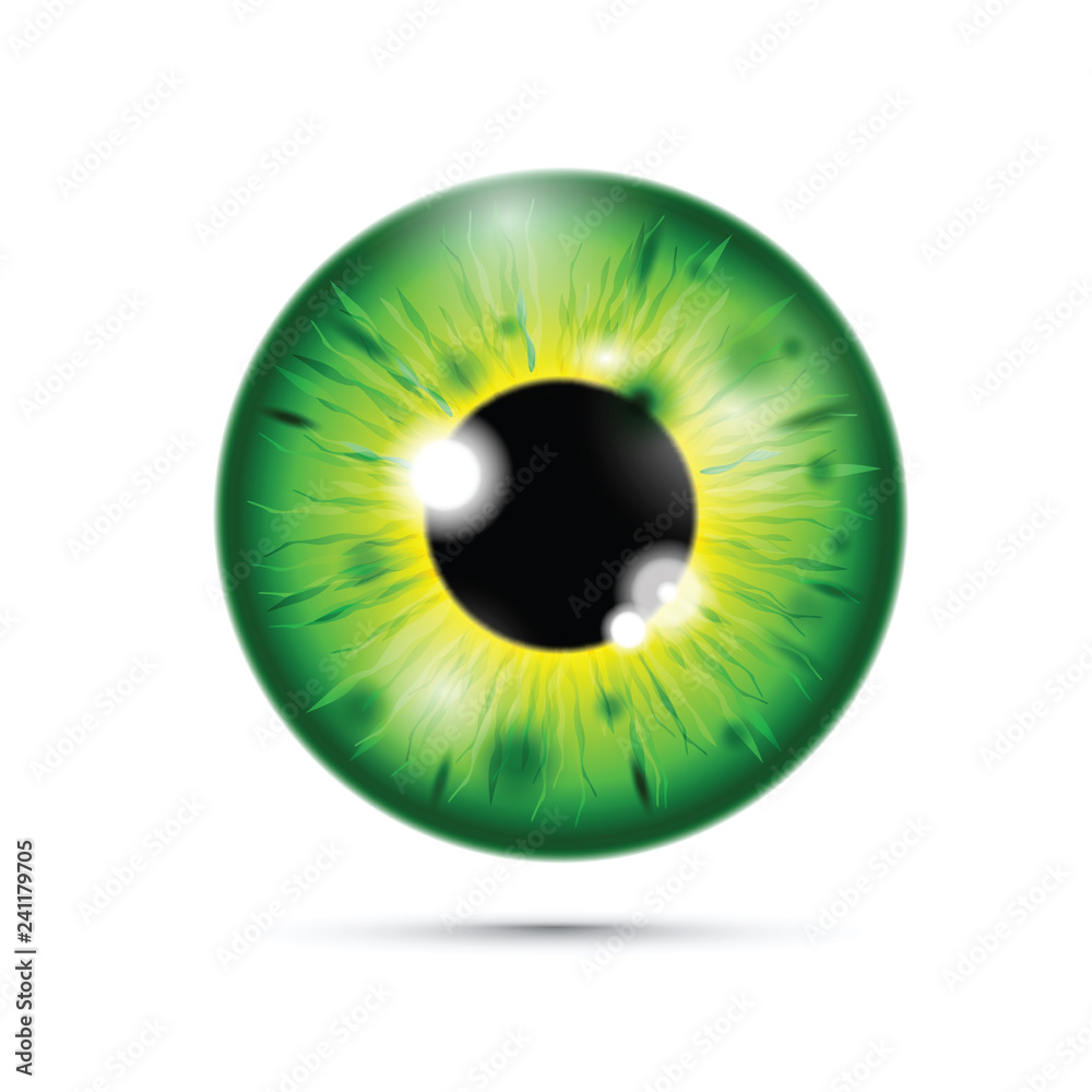 yellow and green realistic eyeball