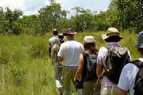 People walking in a line through the forest on safari