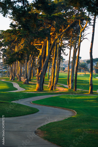 Golf course illuminated by the setting sun