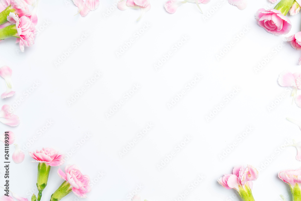 carnations flowers on a white