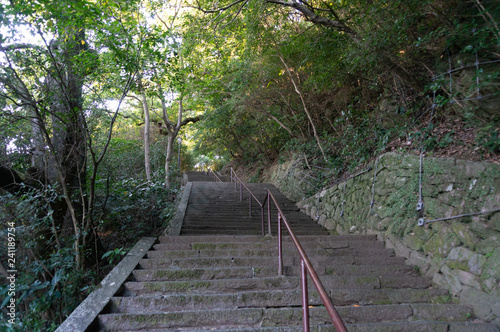 Fototapeta Naklejka Na Ścianę i Meble -  徳島城の階段