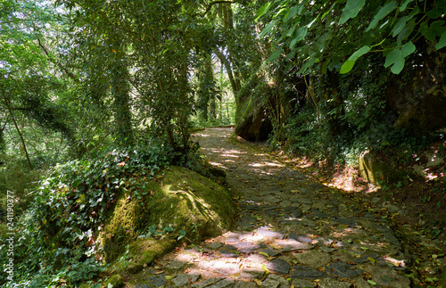 The pedestrian route to the Palace of Pena. Sintra. Portugal