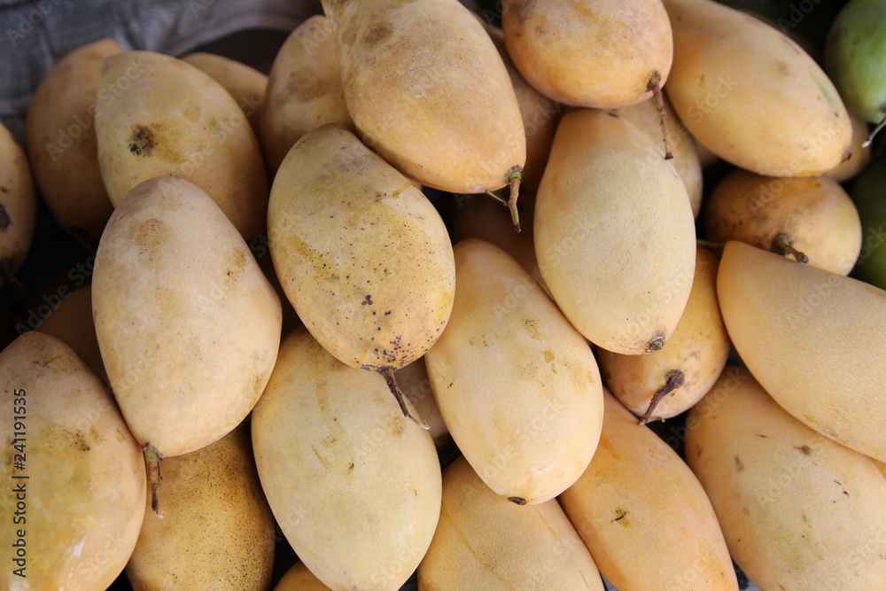 fresh organic yellow mango, fruits pile for sale in Baan Ton Tan Floating Market, Sao Hai, Saraburi, Thailand fresh organic yellow mango, fruits pile for sale in Baan Ton Tan Floating Market, Sao Hai, Saraburi, Thailand