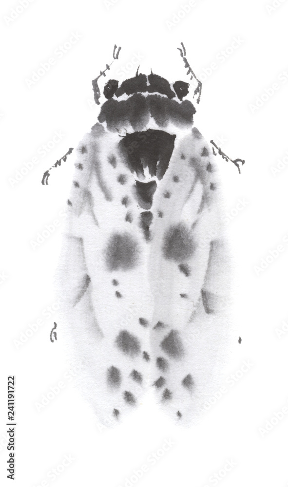 Obraz premium 水墨調 蝉