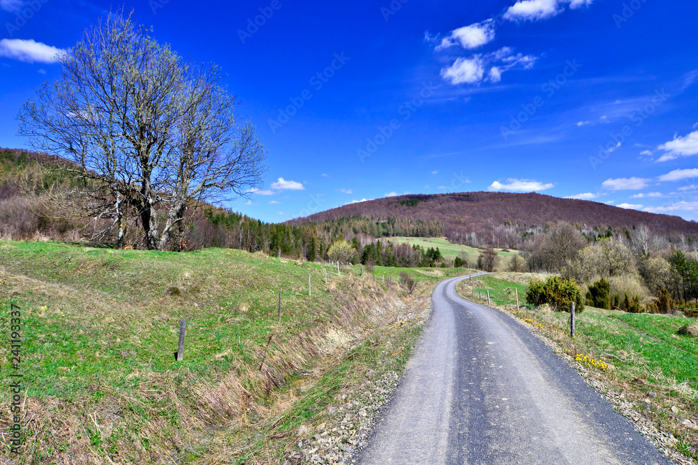 Asphalt road in countryside on spring sunny  day
