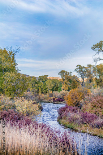 river during the fall leaves changing color in ogden canyon in utah mountain range