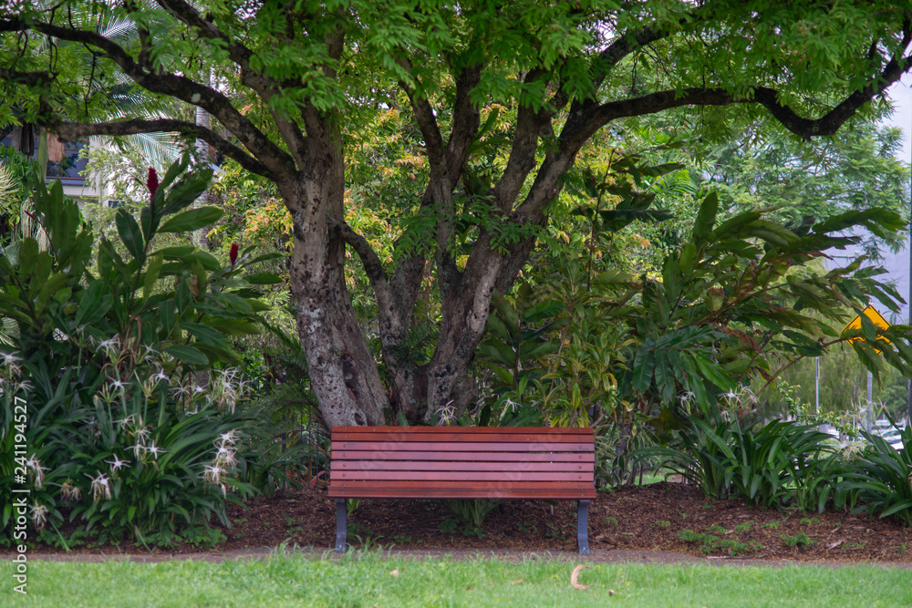 Empty park bench underneath the canopy of a tree Empty park bench underneath the canopy of a tree
