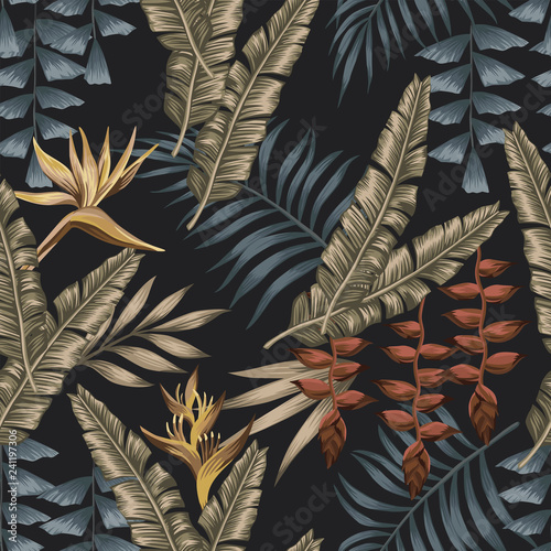 Exotic jungle seamless black background