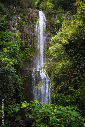 Waterfalls off of the road to Hana
