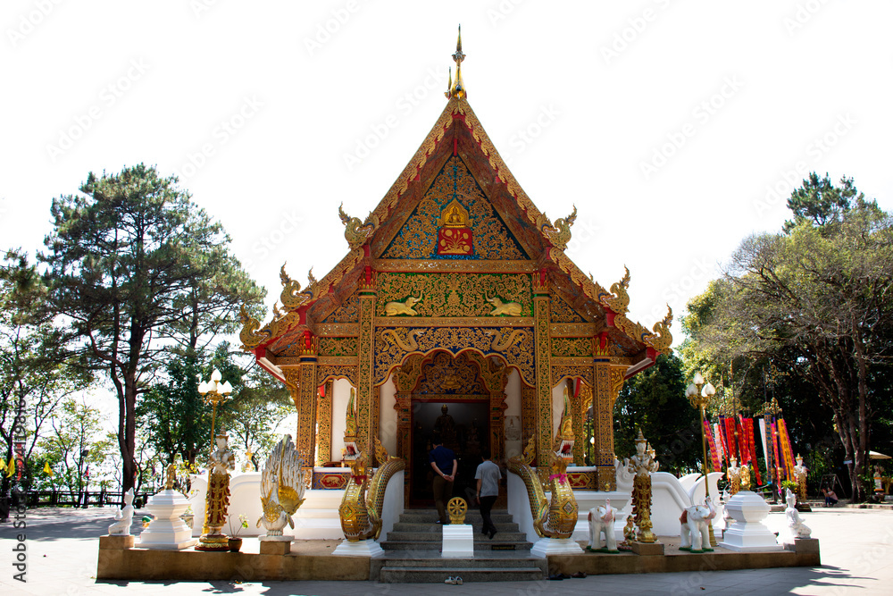 Thai people travel visit and respect praying chedi and Buddha's relics at Wat Phra That Doi Tung in Chiang Rai, Thailand
