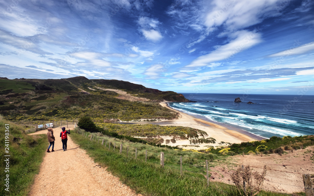 A pair of travelers walking down a straight downhill path towards a long stretches of beach in Otago, New Zealand. The scenery is breathtaking. One can enjoy vast ocean, sandy beach, hills and cliff.