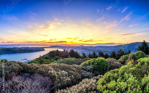 Sunset view of Dunedin, Otago, New Zealand photo