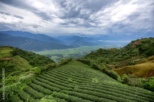 The countryside of Taiwan is similar to other asia's countries like Vietnam, Malaysia, Thailand and Indonesia. There are vast expanse of agriculture, crops and plantation on hills. They are beautiful.