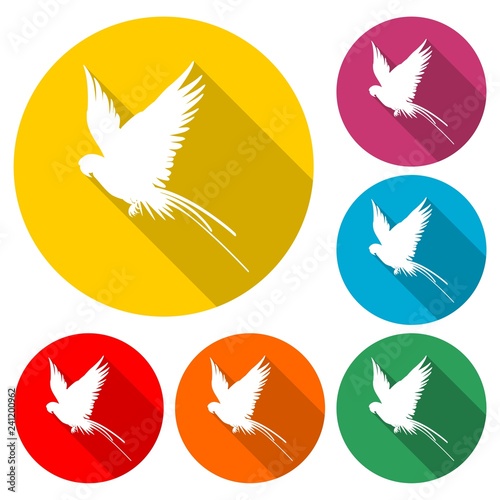 Parrot icon or logo, color set with long shadow