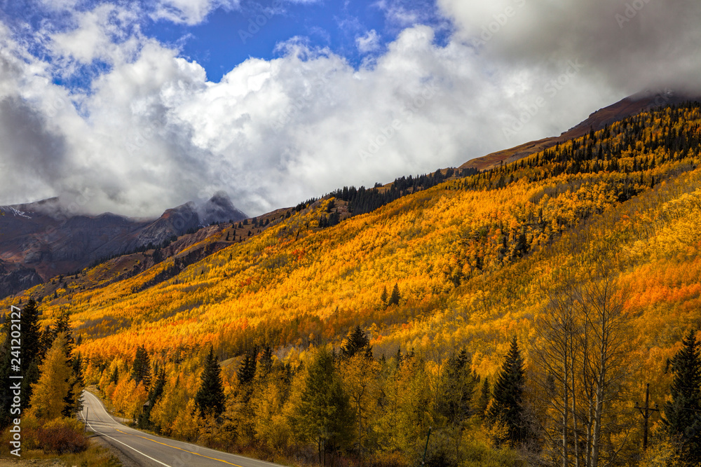 Country road through the aspens at autumn