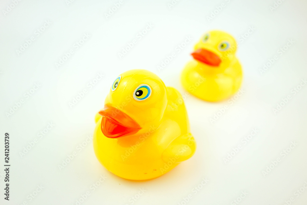rubber ducks on white rubber ducks on white