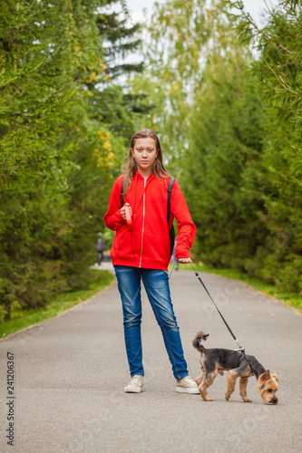 teen girl on a walk in the summer park with her pet Yorkshire terrier. Child walking a dog