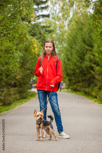 teen girl on a walk in the summer park with her pet Yorkshire terrier. Child walking a dog