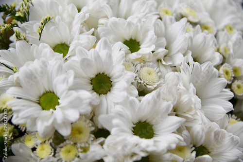 Bouquet of white flowers. Flowers decoration.