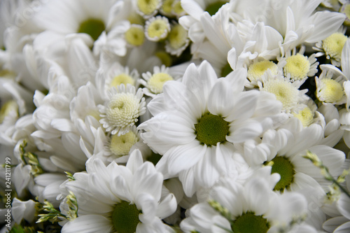 Bouquet of white flowers. Flowers decoration.