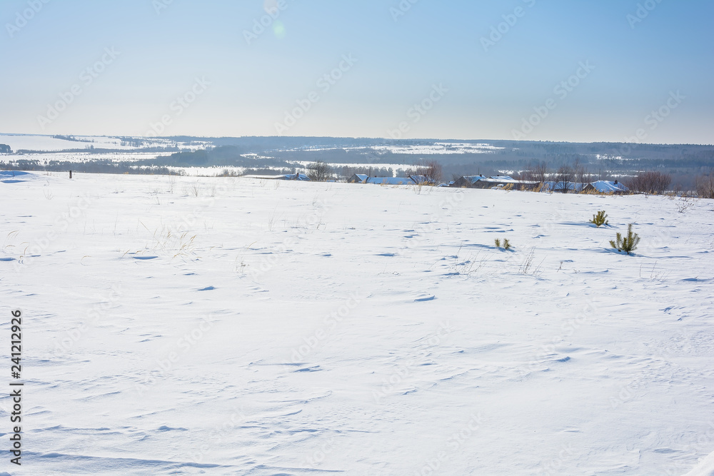 Beauty of nature in winter