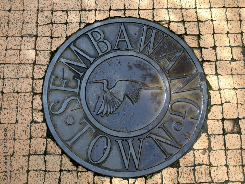 A manhole cover on a pedestrian walkway