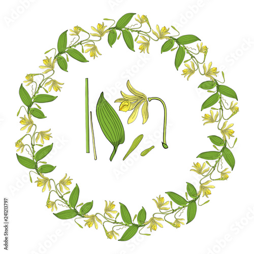 Wreath from vanilla orchid flowers and leaves
