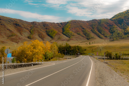 Road  Landscape   Mountain Altai