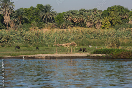 Landscape view of large river nile in Egypt with rural farm land