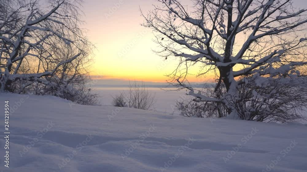 View of the winter forest and frozen lake covered with snow, dolly shot