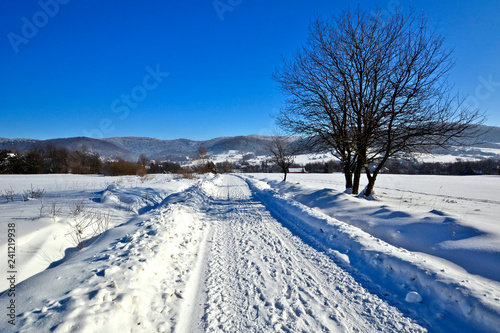 Snow road at winter sunny day