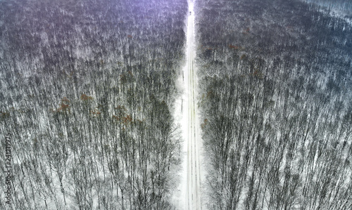 Aerial. Beautiful rural country road between winter forest. Top view. © Dmytro