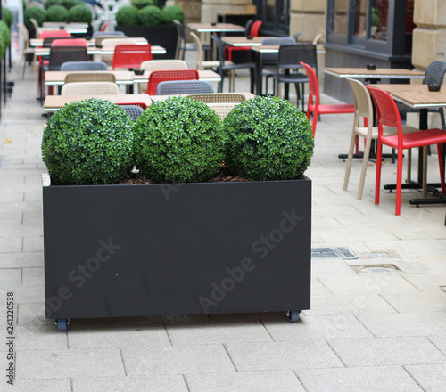 Outdoor restaurant seating in city
