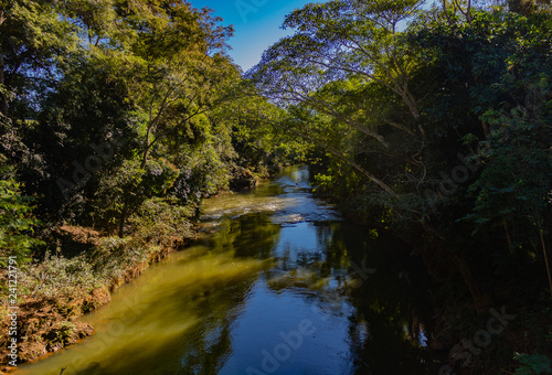 river in forest