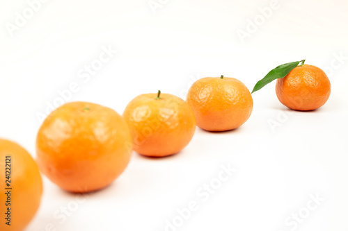 Tangerines in one line on a white background first go tangerine in focuse with green leafe