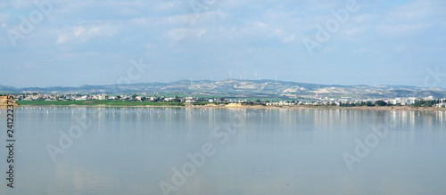 Many pink flamingos on the Salt Lake in Larnaca, Cyprus, rests in still water after and feeds on Artemia crustaceans before mountains with wind farms at far