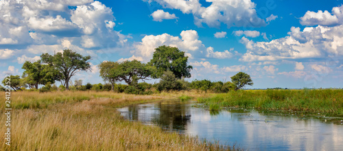 Typical african landscape with wild river in national park Bwabwata on Caprivi Strip  Namibia wilderness