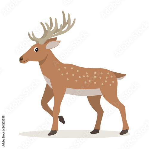 Cute forest animal  cartoon deer with long horns  vector illustration isolated on white background