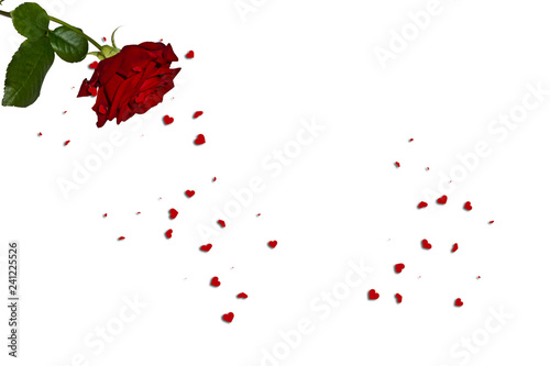 Fototapeta Naklejka Na Ścianę i Meble -  Red roses overlays. Well suited for weddings, birthdays, Christmas and more.