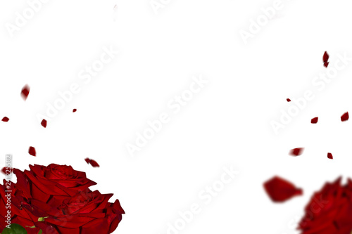 Fototapeta Naklejka Na Ścianę i Meble -  Red roses overlays. Well suited for weddings, birthdays, Christmas and more.