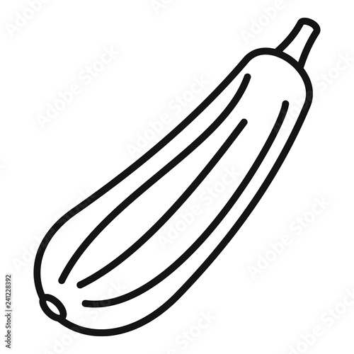 Bottle gourd icon. Outline bottle gourd vector icon for web design isolated on white background