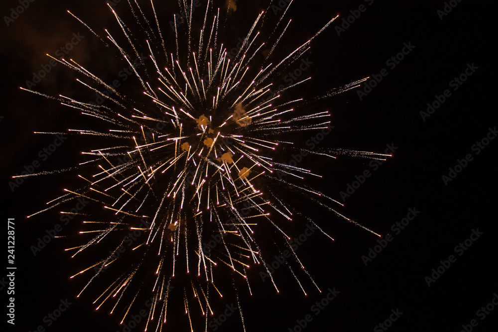 fireworks in the night sky fireworks in the night sky