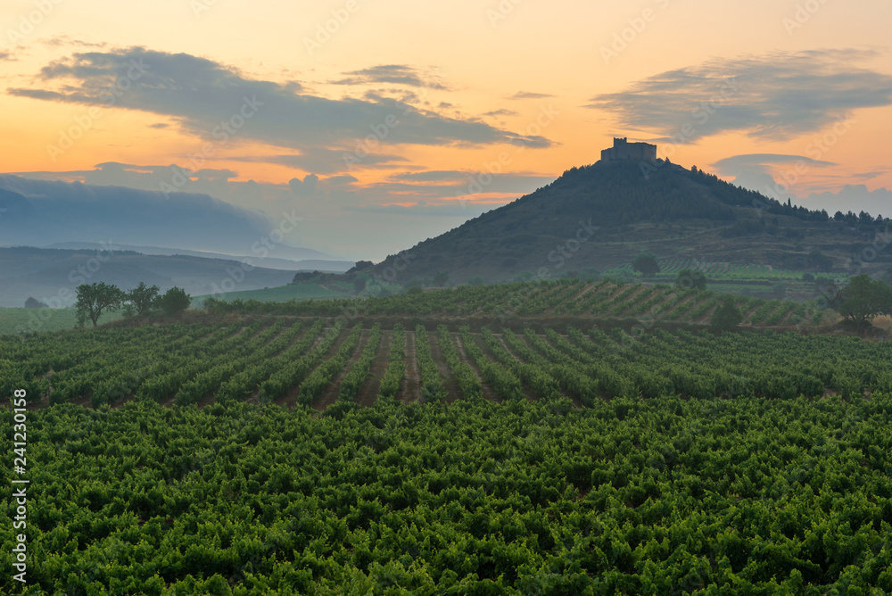 Vineyard with Davalillo castle as background, La Rioja, Spain Vineyard with Davalillo castle as background, La Rioja, Spain