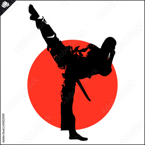 Martial art colored simbol design. Karate emblem.