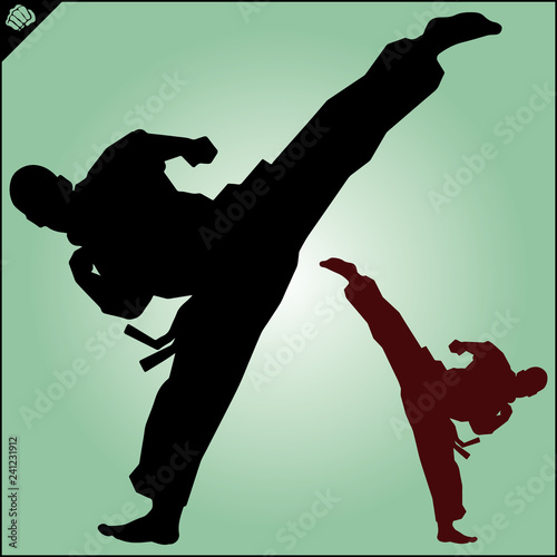 Martial art colored simbol design. Karate emblem.